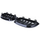 Body kit a vizuálne doplnky RACES maska hladilnika (Sport Double Bar) za BMW 2 Series F22 F23 14-16, sijoča | race-shop.si