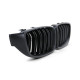 Body kit a vizuálne doplnky RACES maska hladilnika (Sport Double Bar) za 4 series BMW F32 F33 F36, mat | race-shop.si