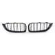 Body kit a vizuálne doplnky RACES maska hladilnika (Sport Double Bar) za 4 series BMW F32 F33 F36, mat | race-shop.si