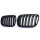 Body kit a vizuálne doplnky RACES maska hladilnika (Sport Double Bar) za BMW X5 E70 X6 E71, mat | race-shop.si