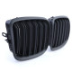 Body kit a vizuálne doplnky RACES maska hladilnika (Sport Double Bar) za BMW X5 E70 X6 E71, mat | race-shop.si