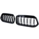Body kit a vizuálne doplnky Sport grille double bar performance gloss fit for BMW X2 F39 from 18 | race-shop.si