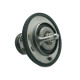 Toyota SPORT COMPACT RACING THERMOSTATS 93-98 Toyota Supra Racing Thermostat, 61°C | race-shop.si