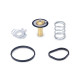 Ford Ford Fiesta ST 180 Racing Termostat, 2013+ | race-shop.si