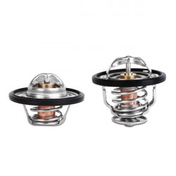 Nissan Racing Termostat, 2001+