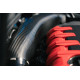 New FORGE carbon fibre induction kit for Audi TTRS Mk3 8S (2017-) | race-shop.si