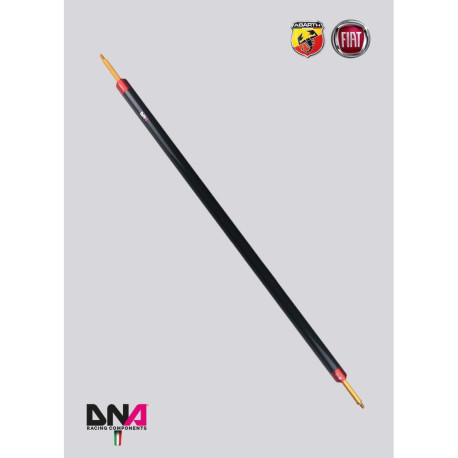 Stebrički DNA RACING four-seater rear strut bar without tie rods kit for FIAT ABARTH 500 EU (2008-), carbon | race-shop.si