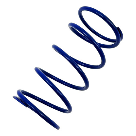 Nadomestni deli in dodatki RACES Wastegate replacement spring BLUE, 0,37BAR | race-shop.si