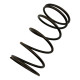 Nadomestni deli in dodatki RACES Wastegate replacement spring BROWN, 0,77BAR | race-shop.si
