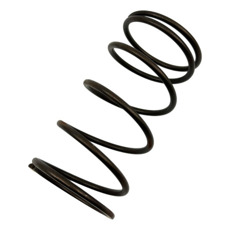 Nadomestni deli in dodatki RACES Wastegate replacement spring BROWN, 0,77BAR | race-shop.si