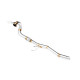 Down pipe, dump pipe Downpipe for VOLKSWAGEN Golf Plus V 1.9, 2.0 TDI 2006-2011 | race-shop.si