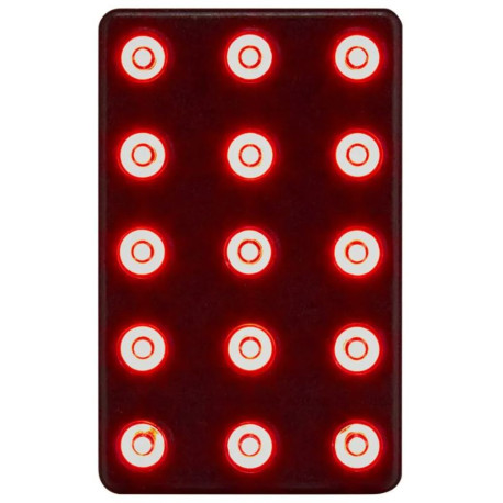 Zavorne luči FIA CARTEK rectangular rain light FIA 8874-2019 (2 modes) | race-shop.si
