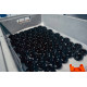 Izpihovalni ventili po proizvajalcih avtomobilov FORGE Recirculating Valve for Audi A1 8X 2010-2018 1.4 Turbo (E-DV) | race-shop.si