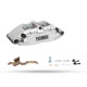 Zavore Pedders Pedders PEBK22 eXtreme Brake Kit | race-shop.si