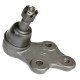 Pedders Pedders PBJ551R Ball Joint | race-shop.si