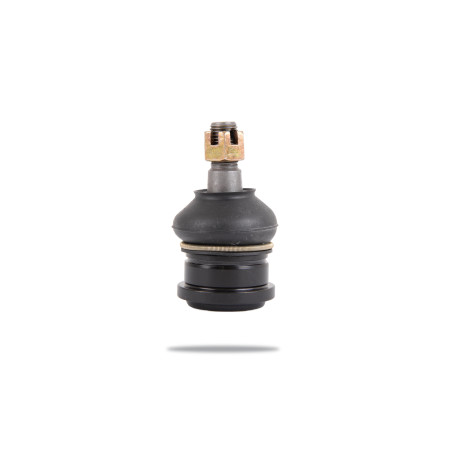 Pedders Pedders PBJ274 Ball Joint | race-shop.si
