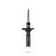 Pedders Pedders 8930 Sealed Strut | race-shop.si