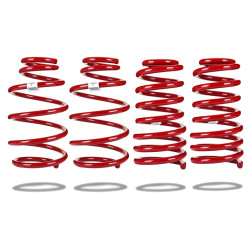 Pedders 804002 Lowered Spring Kit