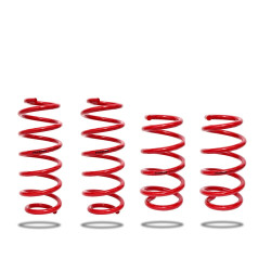 Pedders 803633 Lowering Kit Spring Only. Tesla Model 3 Rear Wheel Drive Models. 2017 on