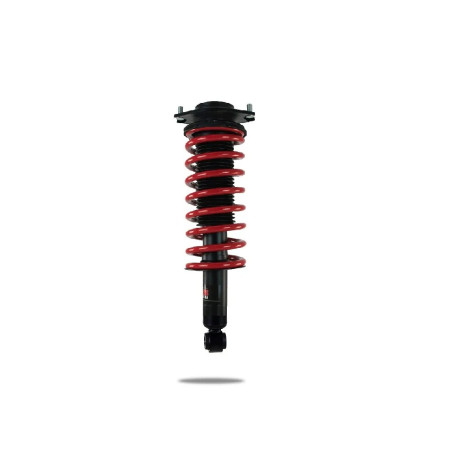 Športni amortizerji Pedders 802211 Ezifit Strut | race-shop.si