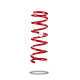 Pedders Pedders 240084R Heavy Duty Coil Spring | race-shop.si