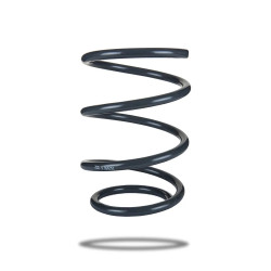 Pedders 202986 Coil Spring