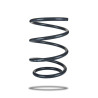 Pedders 202986 Coil Spring