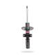 Pedders Pedders 129236 Shock | race-shop.si