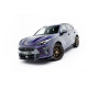 Body kit a vizuálne doplnky Front Splitter V.1 Cupra Terramar Mk1 | race-shop.si