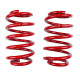 Promocije RACES performance coilover kit for Volkswagen Jetta MK4 (98-05) | race-shop.si