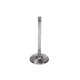 Deli motorja Manley SBC Intake Valve Kit 2.020 x 4911 x .3415 | race-shop.si
