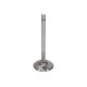 Deli motorja Manley Street Series SBC Exh Valve Kit 1.600 x 4911 x .3415 | race-shop.si