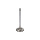 Deli motorja Manley BBC Exhaust Valve Kit 1.900 5.522 .3415 | race-shop.si