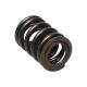 Deli motorja Manley Valve Spring HONDA H22 V-TEC | race-shop.si