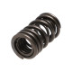 Deli motorja Manley Valve Spring MITSUBISHI 4G63/T | race-shop.si