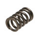 Deli motorja Manley Valve Spring MITSUBISHI 4G63/T | race-shop.si
