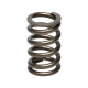 Deli motorja Manley Valve Spring MITSUBISHI 4G63/T | race-shop.si