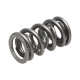 Deli motorja Manley Valve Spring 1.324 DOUBLE | race-shop.si