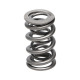 Deli motorja Manley Valve Spring 1.324 DOUBLE | race-shop.si