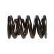 Deli motorja Manley Valve Spring 1.640 DOUBLE | race-shop.si