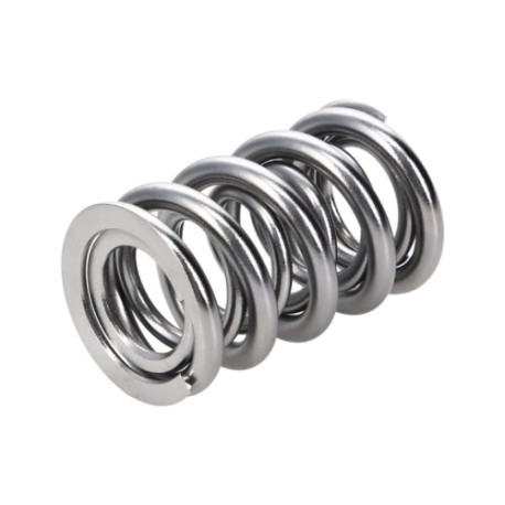 Deli motorja Manley Valve Spring 1424 POLISHED | race-shop.si