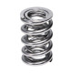 Deli motorja Manley Valve Spring 1424 POLISHED | race-shop.si