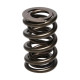 Deli motorja Manley Valve Spring 1.640 DOUBLE | race-shop.si