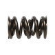Deli motorja Manley Valve Spring 1.640 DOUBLE | race-shop.si