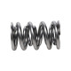 Deli motorja Manley Valve Spring 1425 POLISHED | race-shop.si
