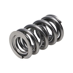 Manley Valve Spring 1425 POLISHED