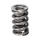 Deli motorja Manley Valve Spring 1440 POLISHED | race-shop.si