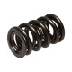 Deli motorja Manley Valve Spring 1.580 DOUBLE | race-shop.si