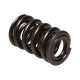 Deli motorja Manley Valve Spring 1.580 DOUBLE | race-shop.si