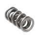 Deli motorja Manley Valve Spring 1.500 DOUBLE | race-shop.si